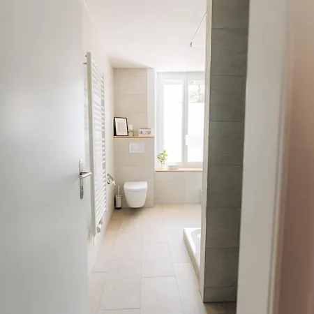Grand Host Central Suite 1 -120 Sqm Free Parking & Near Congress Centre * Biel