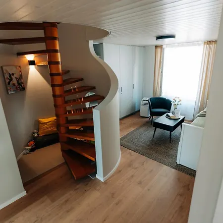 Grand Host Central Suite 1 -120 Sqm Free Parking & Near Congress Centre Biel