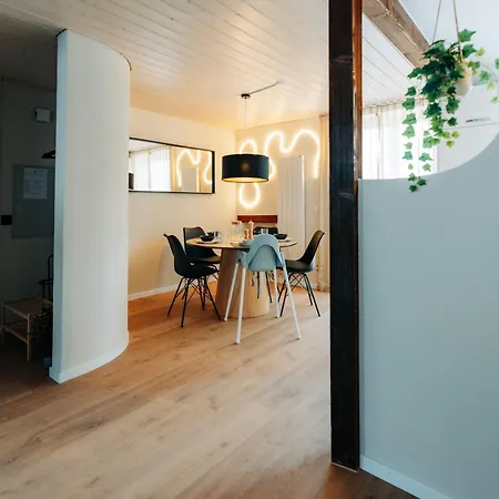 Grand Host Central Suite 1 -120 Sqm Free Parking & Near Congress Centre Biel